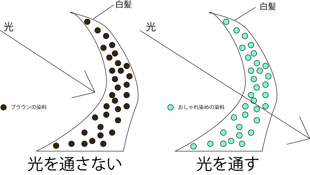 白髪染めとオシャレ染めの違いは？